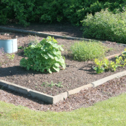 Fourniture de Plantes et Arbres de Qualité Supérieure pour un Jardin Éclatant Aubervilliers