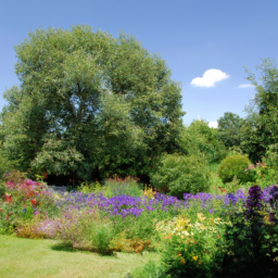 Livraison Rapide de Terre Végétale de Qualité pour vos Projets de Jardinage Baillargues