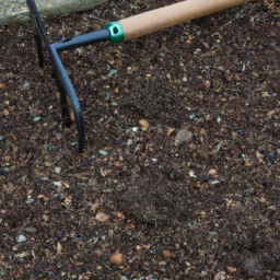 Aménagement Paysager Harmonieux pour un Jardin d'Exception Saint-Vallier