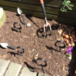 Entretien de Jardin Annuel pour une Beauté Durable Laneuveville-devant-Nancy