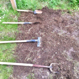 Conseils d'Aménagement de Jardin pour un Espace de Vie Convivial Saint-Alban-Leysse