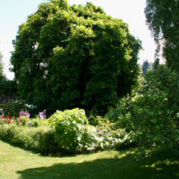 Entretien de Jardin Annuel pour une Beauté Durable Herouville-Saint-Clair