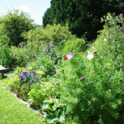 Plantes et Arbres Adaptés à votre Climat et à votre Sol Voisins-le-Bretonneux