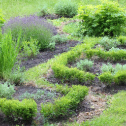 Taille, Élagage et Abattage d'Arbres Respectant l'Équilibre Naturel Eragny