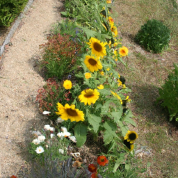 Bassins de Jardin Récréatifs: Plaisir Aquatique à Domicile Arnouville