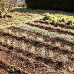 Livraison de Terre Végétale de Qualité Certifiée pour vos Projets de Jardinage Brains