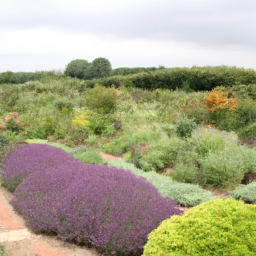 Conception Paysagère Personnalisée pour un Jardin à votre Image Wisches