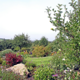 Bassins de Jardin Aménagés pour la Faune Locale Pommerit-le-Vicomte