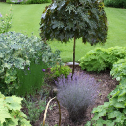 Plantes et Arbres Adaptés à votre Climat et à votre Sol pour un Jardin Florissant Feuguerolles-Bully
